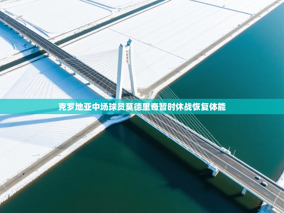 克罗地亚中场球员莫德里奇暂时休战恢复体能  第1张