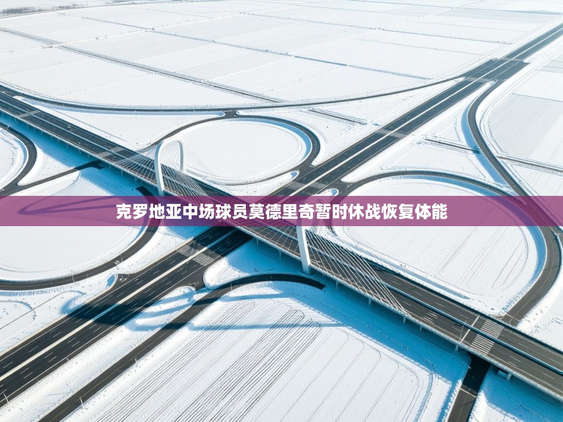 克罗地亚中场球员莫德里奇暂时休战恢复体能  第2张