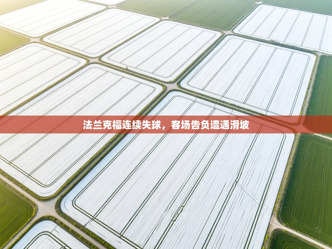 法兰克福连续失球，客场告负遭遇滑坡  第1张