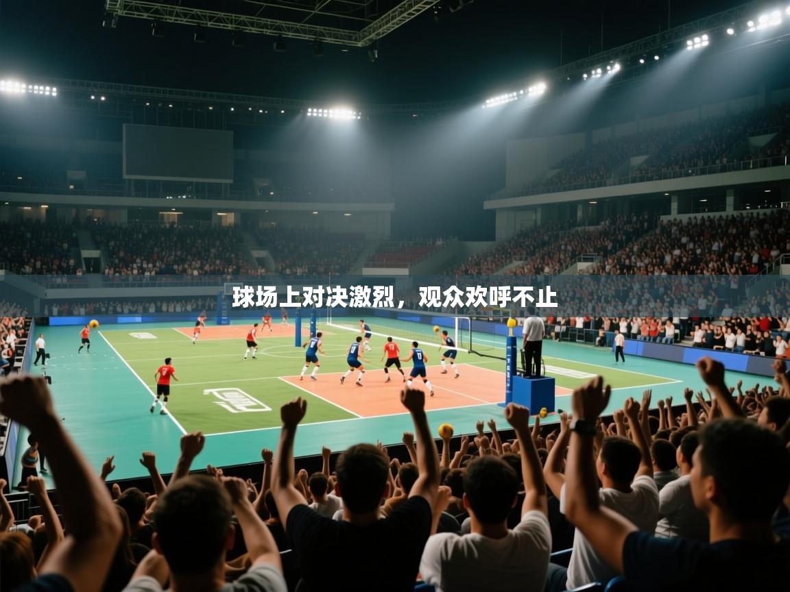 球场上对决激烈，观众欢呼不止  第1张