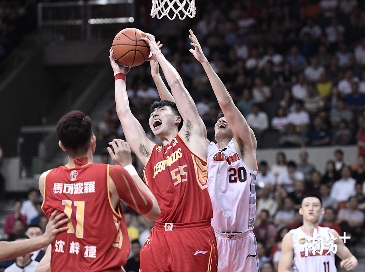 重磅对决！广东南部德比再次上演，气氛火爆