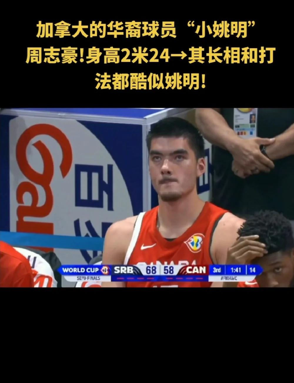 关于加拿大本土篮球明星受到热捧，备受关注的信息